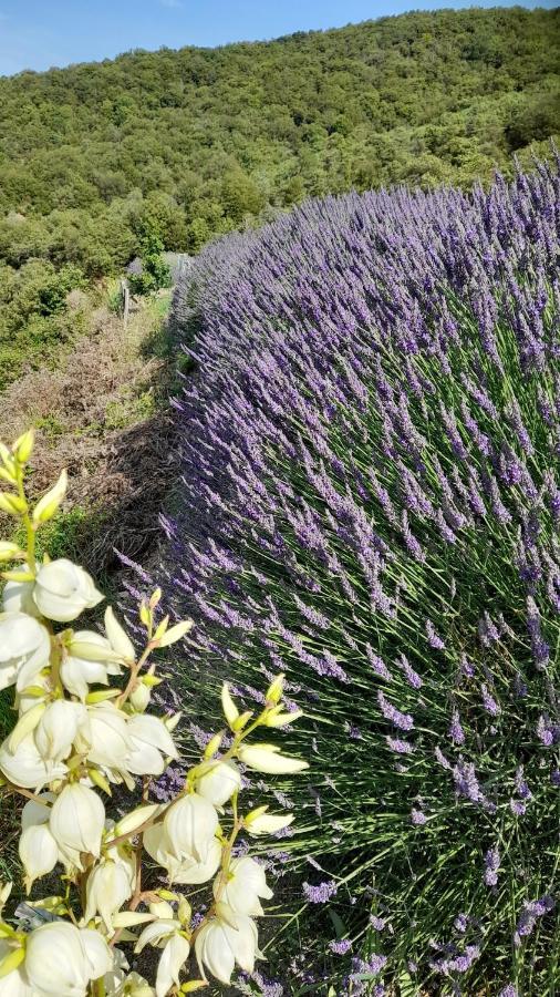 Rouretord Hirondelle Villa Gilhac-et-Bruzac ภายนอก รูปภาพ